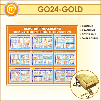       (GO-24-GOLD)